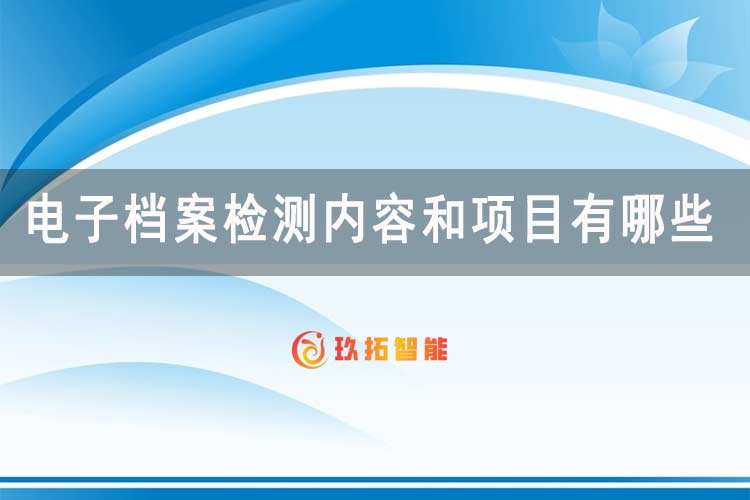 电子档案检测内容和项目有哪些-玖拓智能