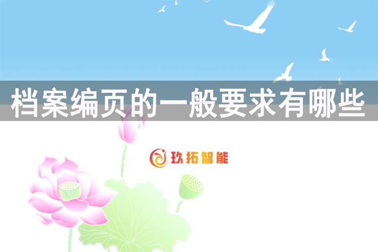 档案编页的一般要求有哪些-玖拓智能