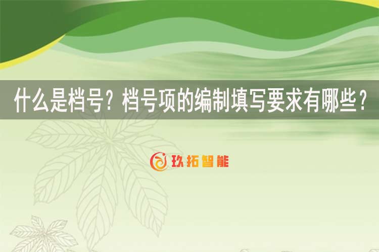 什么是档号？档号项的编制填写要求有哪些？-玖拓智能